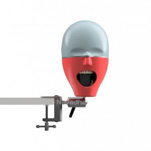 ADC MANIKIN DENTAL PHANTOM HEAD