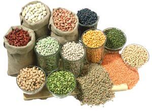 Natural Indian Pulses, For Cooking, Certification : FSSAI Certified