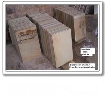 Natural Surface Mint Fossil Sandstone Tile, Color : Beige