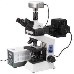 Dwaraka Scientifics FLUORESCENT MICROSCOPE, Voltage : 100 - 240 V AC