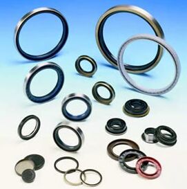 Oil Seals