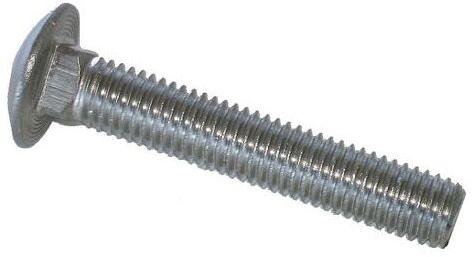 Stainless Steel SS Carriage Bolt, Color : Silvery