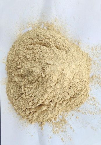 Kirti Food Dehydrated Garlic Powder, Packaging Type : Box