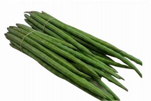 Drumstick, Fresh Drumstick,drumstick