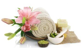 SPA Treatment Service