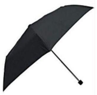 Two Fold Umbrella