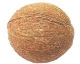 Husked Matured Coconut, Speciality : High Nutritional Value