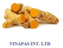 Fresh Turmeric, Packaging Type : Yellow/Red