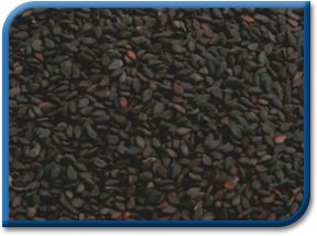 Common Black Sesame Seed, Purity : 99.95%