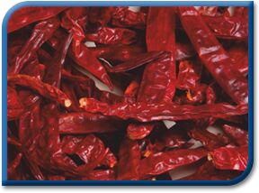 Dry Red Chilli