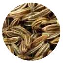 Cumin Seed