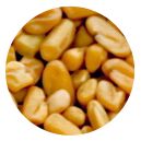 Fenugreek Seed