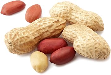 Peanuts, Moisture : 12% max