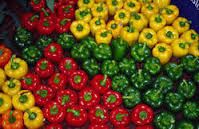 Bell Pepper Red Yellow Green