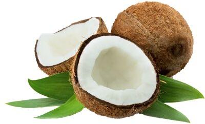 Coconut