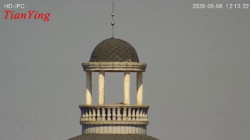 Human 9km Tank 14km 2MP 16~500mm Coaxial Zoom Day Sight TV Camera