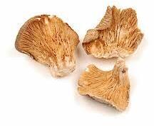 Dry Oyster Mushroom