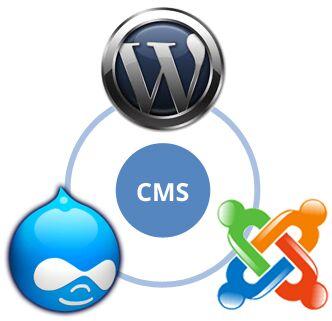 Cms Development Services