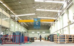 Double Girder EOT Cranes