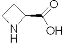 L-azetidine-2-carboxylic Acid