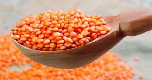 30 Kg Red Lentils, Style : Sortex Full Clean