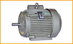 Electric Motor