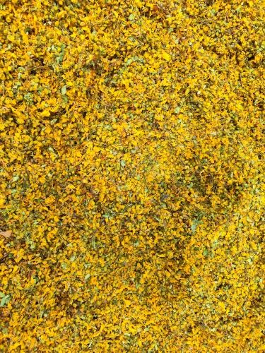 Cassia Auriculata Flower, For Medicines Cosmetic