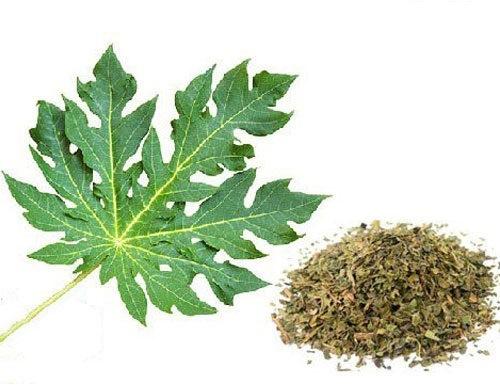 Natural Dried Papaya Leaves, Grade : Medicine Grade