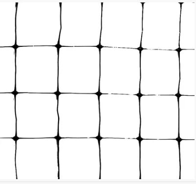 Anti Bird Netting