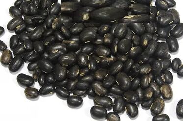 Black Mucuna Pruriens, Packaging Type : PP