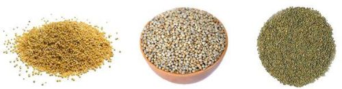 Millets, Moisture : : 14% max