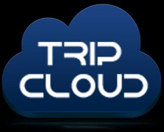 Travel Software Services