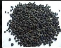 Black Pepper, Packaging Type : Plastic Box, Plastic Packet