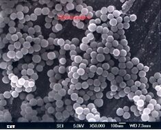 Colloidal Silica