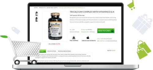 Ecommerce Web Development Services