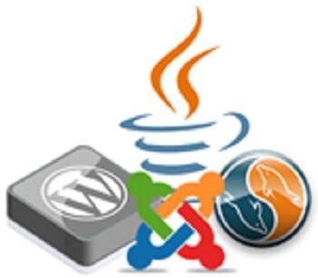 Web Development Services