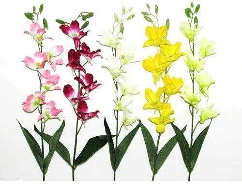 Dendrobium Orchid Plant, For Home Decoration, Color : White, Yellow, Red, Pink, Green