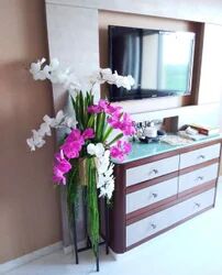 Pink Moth Orchid Plant, Occasion : Home Decoration