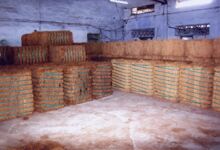 Coir Fiber