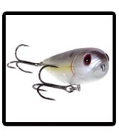 Fishing Lure