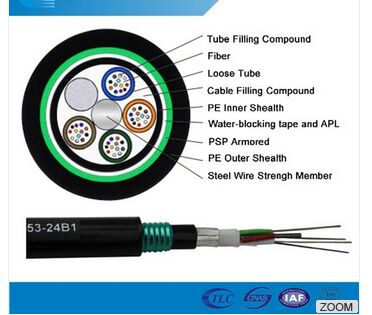 Multimode/single Mode Fiber Optic Cable, Brand Name : trustpass