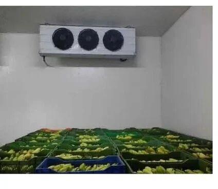 Banana Ripening Chamber, Capacity : 100 Tons