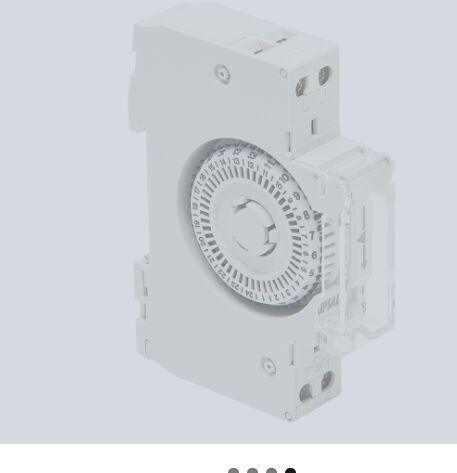 Timer Controls Switches