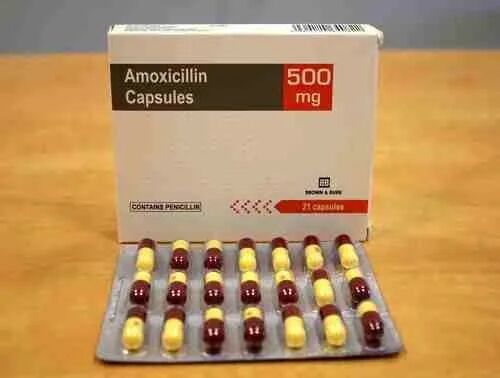 Amoxicillin Capsule, Composition : Amoxicillin 