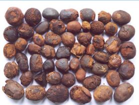Ox Gallstones