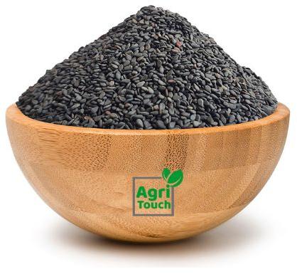 Black Sesame Seeds, Packaging Type : PP Bag