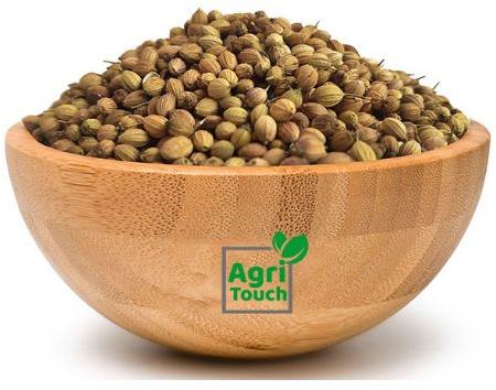 Brown Natural Coriander Seeds, For Cooking Use, Certification : FSSAI Certified