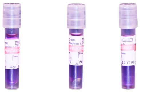 Biological Indicator