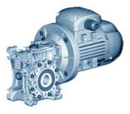 Worm Gears Motor