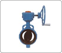 Slimseal Butterfly Valve